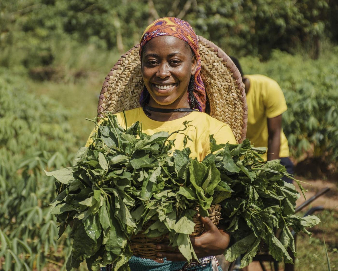 A grower carrying a cut bundle of greens from the beds