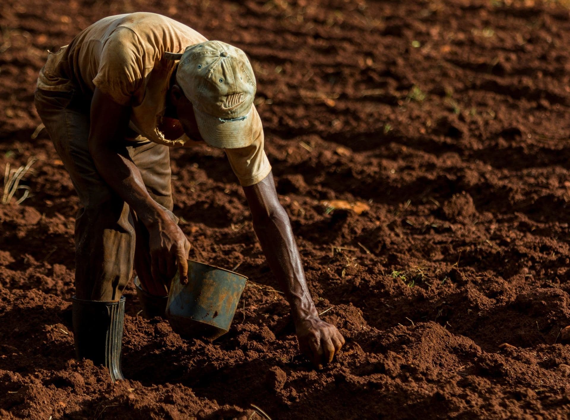 A grower preparing the red soil of a plot by hand in Isinya