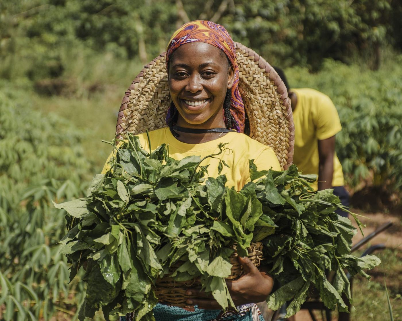 A grower carrying a cut bundle of greens from the beds